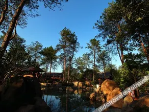 Wuyi Tangfeng Hot Spring Resort - Image 4