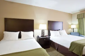 Holiday Inn Express Le Roy - Bloomington Area - Image 4
