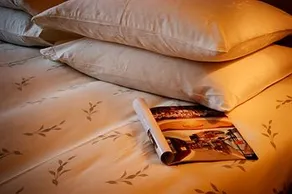 Friendship Hotel - Image 5