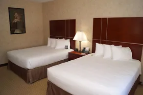 Hollywood Casino Joliet Hotel - Image 3