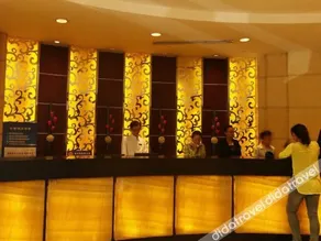 Shenyang Sanlong Zhongtian - Image 2