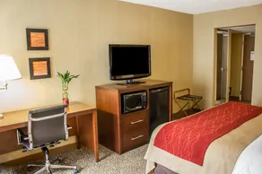 Comfort Inn Research Triangle Park - Image 5