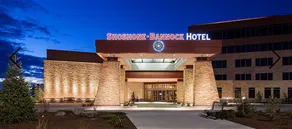 Shoshone Bannock - Image 2