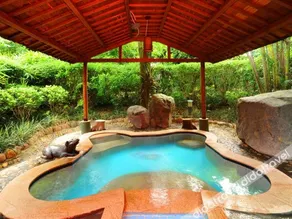 Enping Jinjiang Hotspring Hotel - Image 5