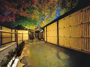 Gero Onsen Tsuki no Akari - Image 1