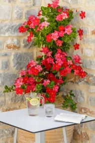 Salvia Areopolis All-Suite Hotel - Image 5