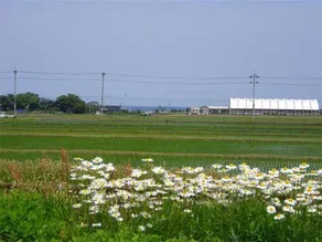 Business Hotel Saigo - Image 5
