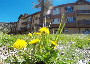 Kirkwood Mountain Resort - Image 3
