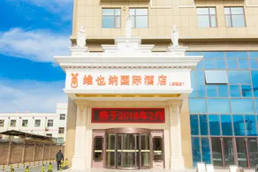 Vienna International Hotel (Dezhou Decheng) - Image 3