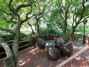 Dandi International Villa Hotel - Image 3