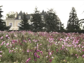 Domaine De Pouzelande B&B - Image 2