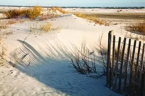 Wild Dunes Resort - Vacation Rentals - Image 4
