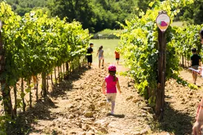 Palagina la cascina - Image 5