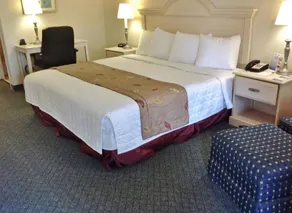 Americas Best Value Inn West Columbia - Image 3