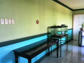 Jardin De La Vina Hotel - Image 2