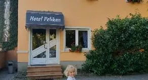 Pelikan - Image 4