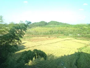 Guzhen Inn - Image 4