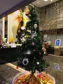 YINHAI GARDEN HOTEL - Image 3