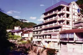 Ryujin Onsen Shimogoten - Image 2