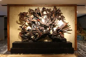 Drunken Root Resort - Image 4