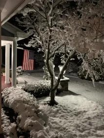 37 Oak Ridge House - Image 3