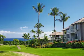Wailea Grand Champions: Destination Residences Hawaii - Image 3