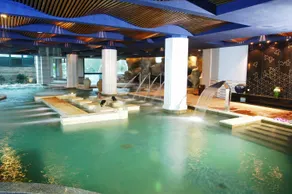 Chengdu Yufu Guodu Hot Spring Hotel - Image 3