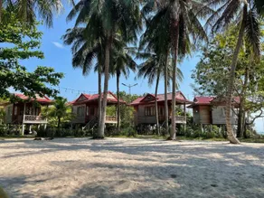 Cay Sao Phu Quoc - Image 4