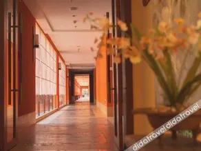 Springs Resort - Image 4