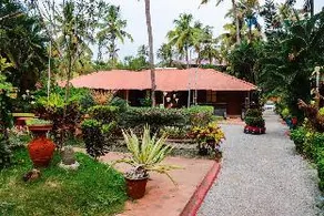Kerala Bamboo house - Image 2