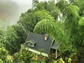 Dosen Manor - Image 5