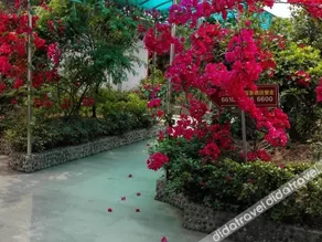Yuhuayuan Hotel - Image 2