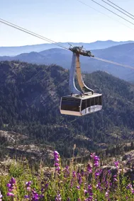 Squaw Valley Lodge - Image 3