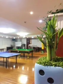 Tianyi Art Hotel - Image 5