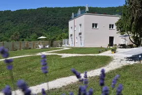 il Lago di Nemi - Image 2