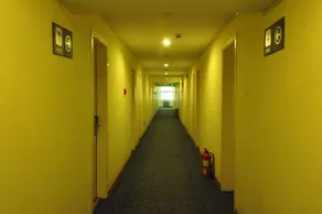 GreenTree Hotel (Dezhou Sanba road high speed rail store) - Image 4