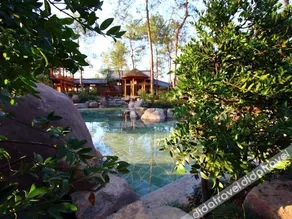 Wuyi Tangfeng Hot Spring Resort - Image 5