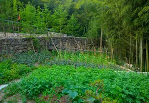 Tianmushan Chengjing Homestay - Image 5
