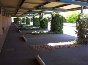 The Wine Vine - Image 2