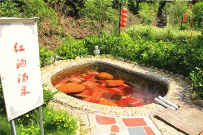 Yudai Longquan Hot Spring Hotel - Image 3
