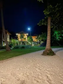 Cay Sao Phu Quoc - Image 2