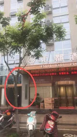 Vienna Classic Hotel (Zhejiang Taizhou Yuhuan Shamen Branch) - Image 3