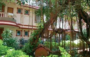 Lillywoods Highland Beach Resort - Image 4