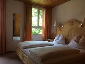 Hotel Bellevue Wengen - Image 2