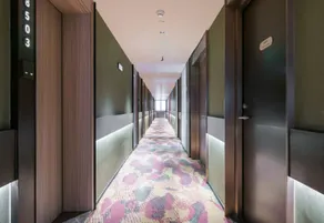Hanting Xi'an Xianyang International Airport Terminal T5 Hotel - Image 3