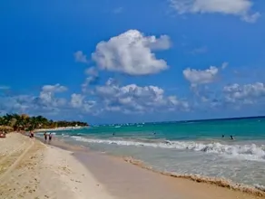Palmar del Sol - Image 2