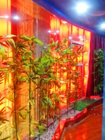 Tangyan Hotel - Image 3