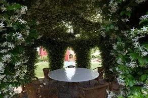 Coselli's Luxury Villas - Image 2
