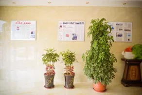 Taiyanghua Business Hotel - Image 5