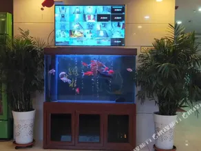Yuhua Hotel (Lingwu Ningdong Branch) - Image 4